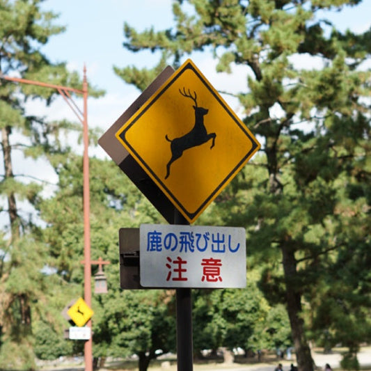 奈良の鹿と歩む未来のために～クラウドファンディング「Creema SPRINGS」へのご支援のお願い