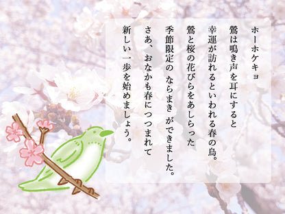 NARAMAKI Super thin haramaki  - Japanese nightingale and Cherry Blossoms-【Spring only】